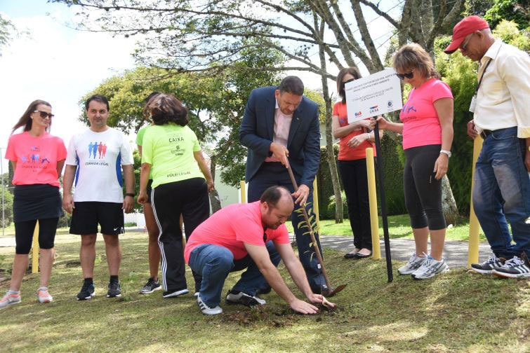 Em parceria com comissões da OAB foram plantadas mudas de árvores - Foto: Divulgação