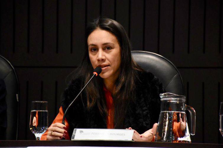 Professora Fernanda Bourges - Foto: Bebel Ritzmann