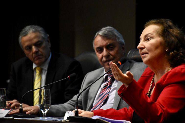 Professora falou sobre processualidade no Direito Administrativo - Foto: Bebel Ritzmann