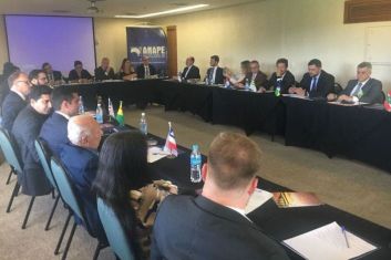 Conselho da ANAPE em Porto Alegre